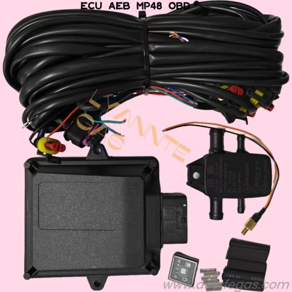 ECU AEB MP48 FREESCALE CON OBD-II