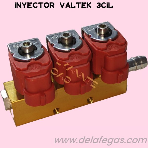 INYECTOR 3CIL VALTEK RIEL DORADO VITON O-RING