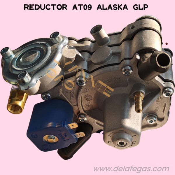 REDUCTOR AT09 ALASKA TOMASETTO GLP